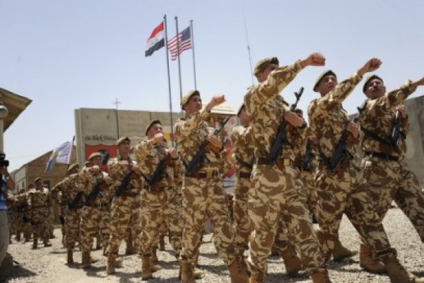 MApN: România a acceptat toate ţintele de capabilităţi de apărare alocate de NATO